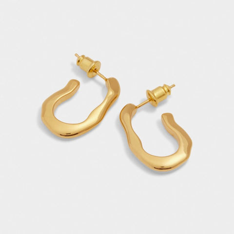 Hera Waterproof Hoop Earrings